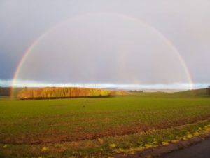 Bild von einem Feld mit Regenbogen darüber